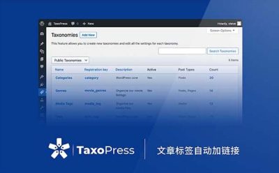 [汉化] TaxoPress Pro 文章标签自动链接插件 v3.5.3