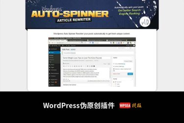 [已激活] WordPress Auto Spinner 内容伪原创插件 v3.9.0