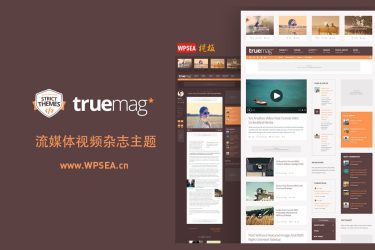 [汉化] True Mag 流媒体视频杂志WordPress主题 v4.3.10