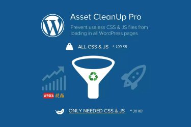 [汉化] Asset CleanUp Pro 页面css/js速度助推器 v1.2.2.3